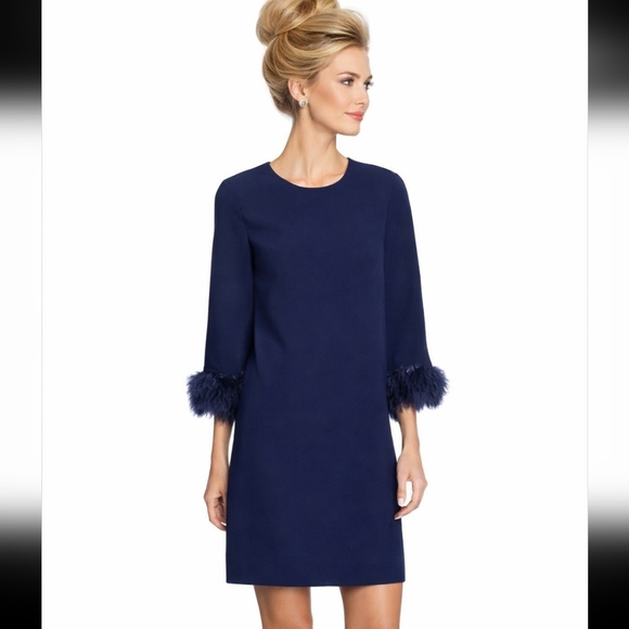 CeCe Dresses & Skirts - Feather Trim Blue Dress  Cece Office Siren Cocktail Party Glam Sz 4